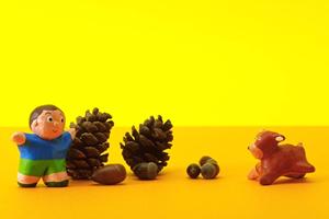 ペットの引越しを成功させるための完全ガイド：安全でストレスフリーな移動方法とサービス選び